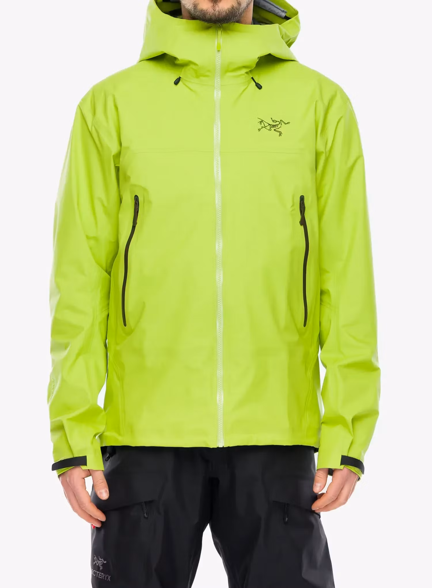 ArcteryxBetaSLJacketmantistatsu623555859116a.webp
