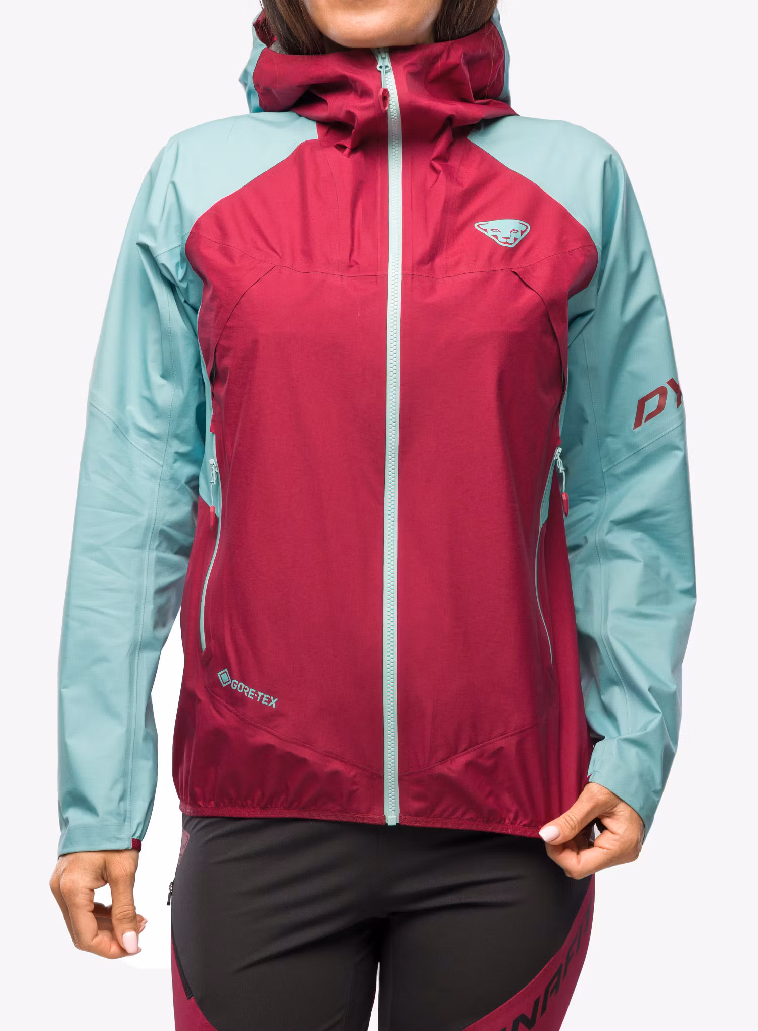 DynafitTransalperGTXJacket_marinebluebeetred4053866488037a.jpg