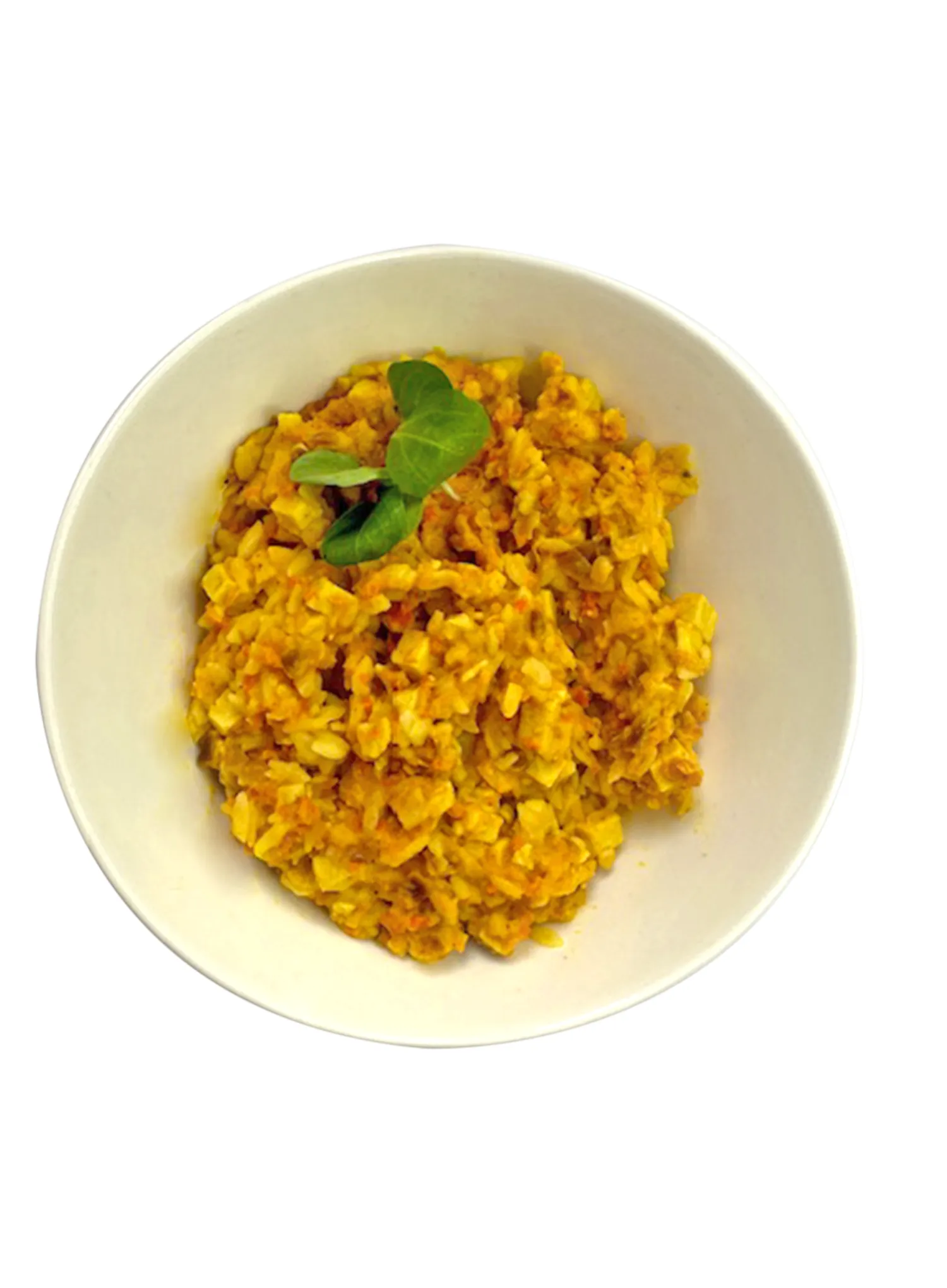 Lyofilizát This-1 Kuracie kari so ryžou 550 g