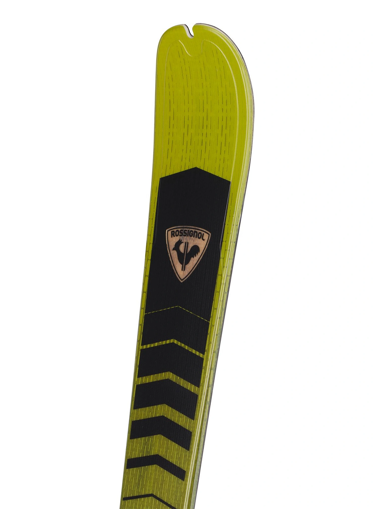 Skialpinistické lyže Rossignol Escaper 80 Open - green