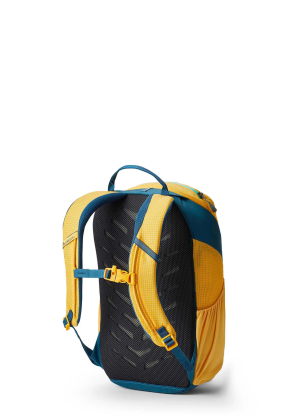 Detský ruksak Gregory Wander 8 - aqua yellow