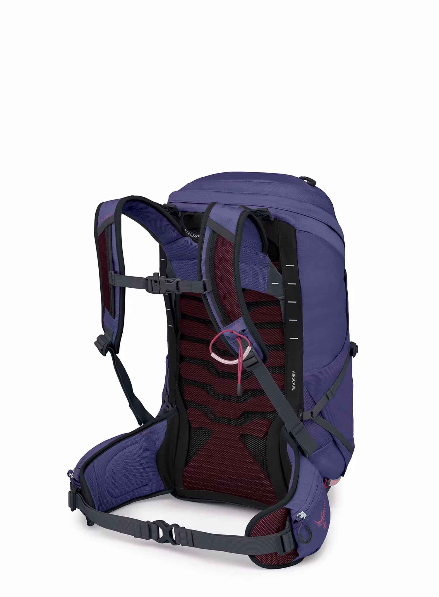 Dámsky turistický batoh Osprey Tempest 26 - deep fig hotspot pink