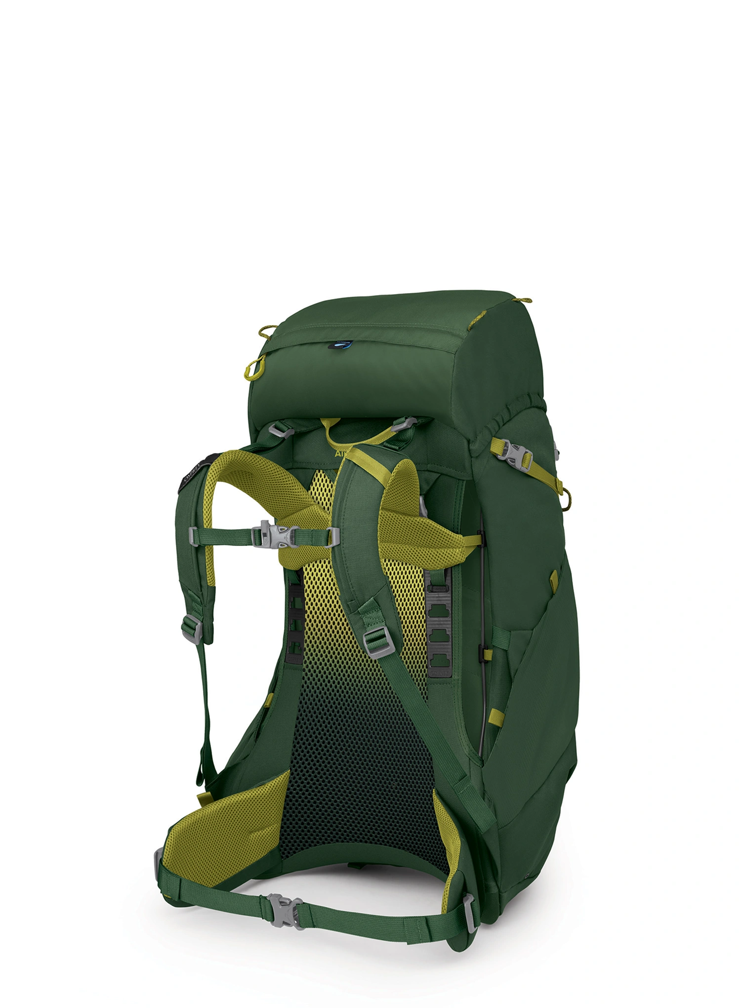 Detský turistický batoh Osprey Ace 38 - green canopy