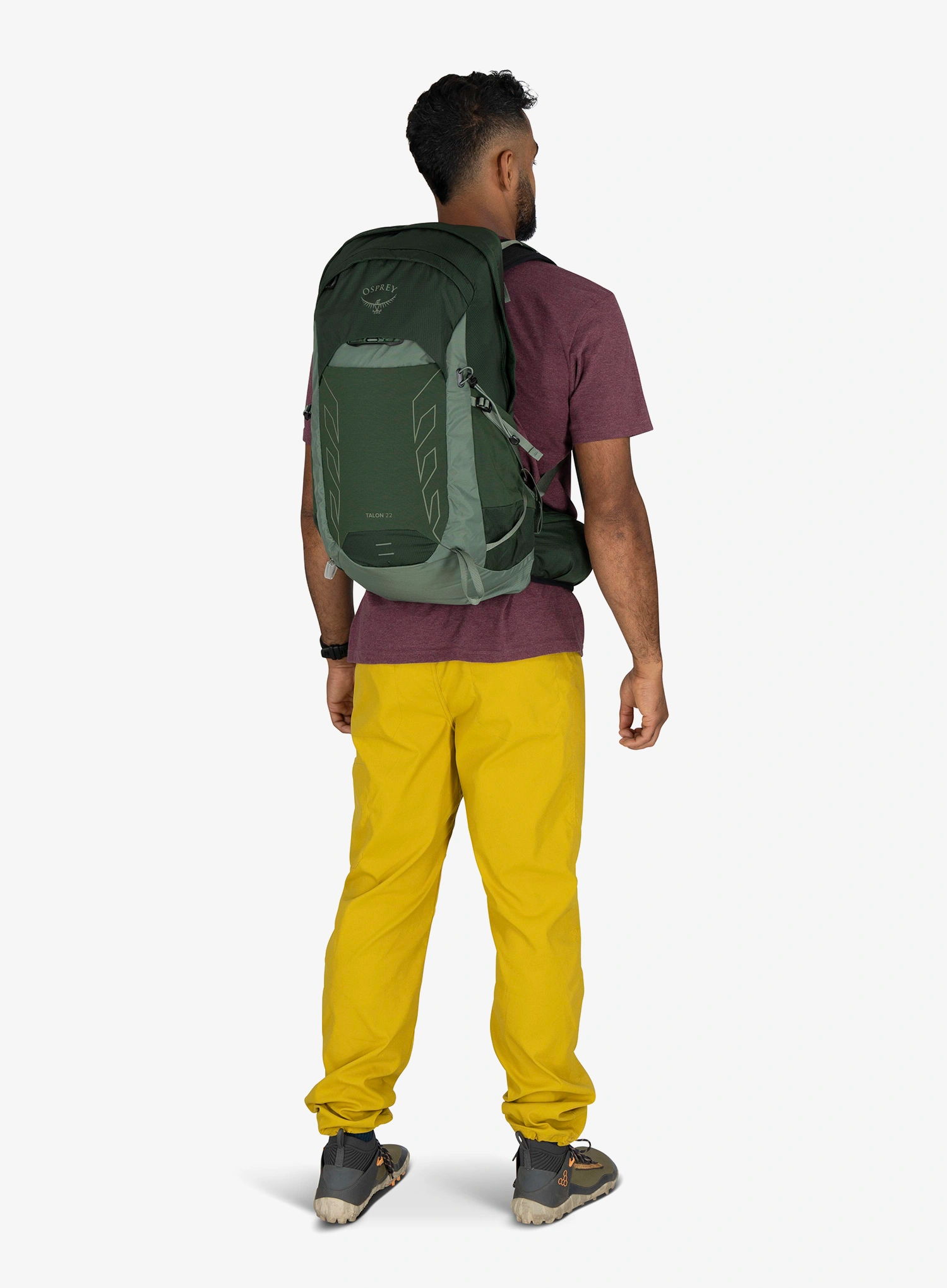 Turistický batoh Osprey Talon 22 - green canopy pine leaf