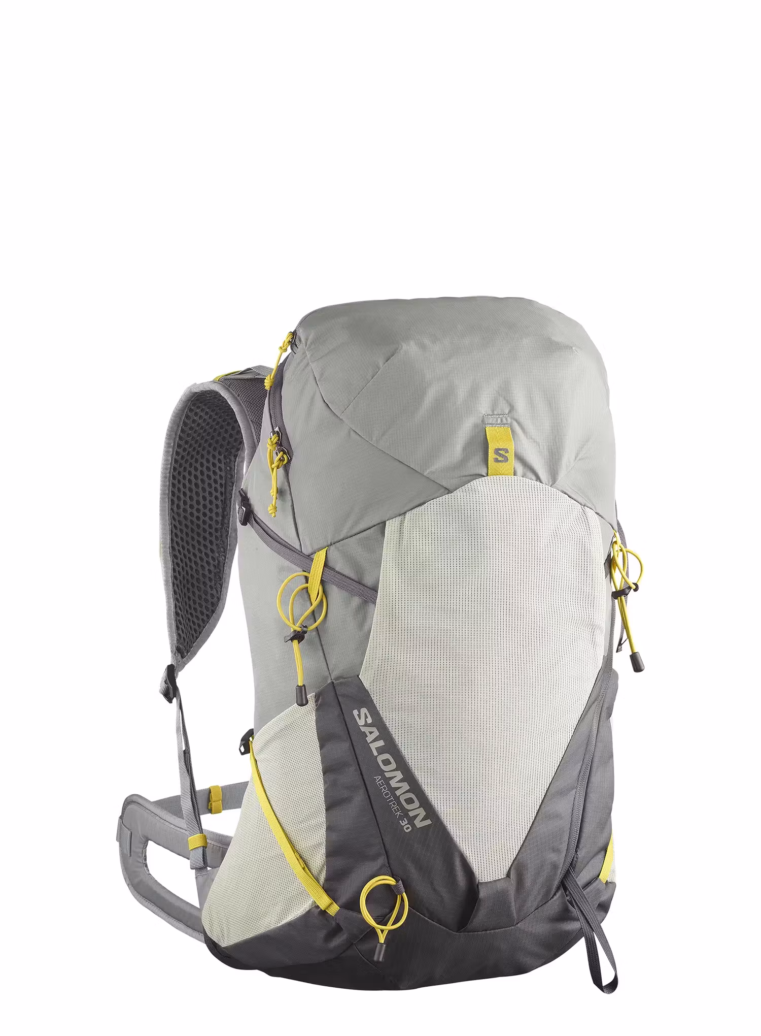 SalomonAerotrek30_sageseagrassiron_195751852319a.webp
