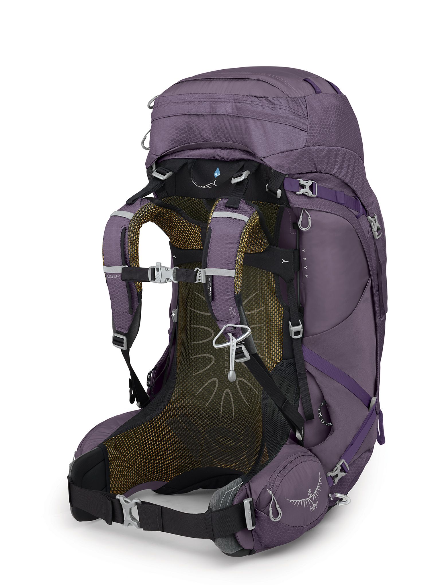 Dámsky trekingový batoh Osprey Aura AG 65 - enchantment purple