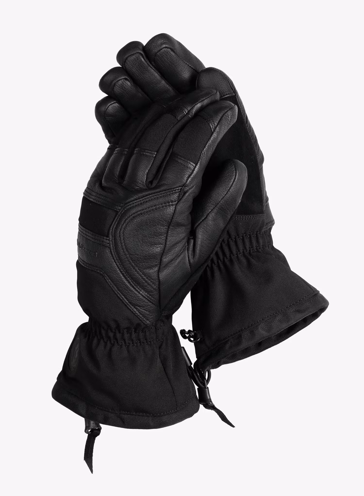 BlackDiamondPatrolGloves_blac_793661641100__a.webp