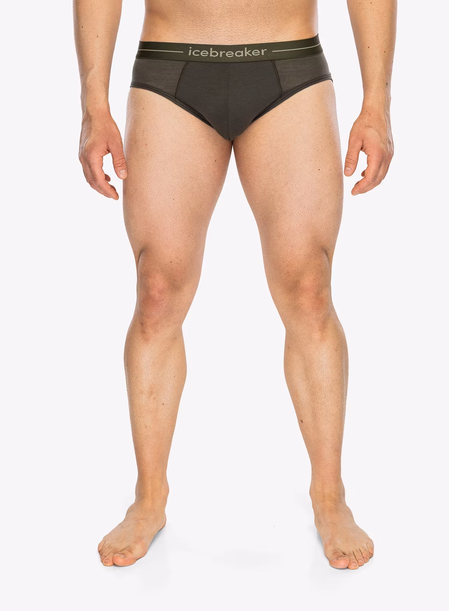 IcebreakerAnatomicaBriefs_dkloden_120.webp