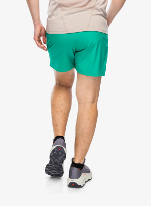 Kraťasy pánske Salomon Shakeout Core 5 Shorts - parakeet