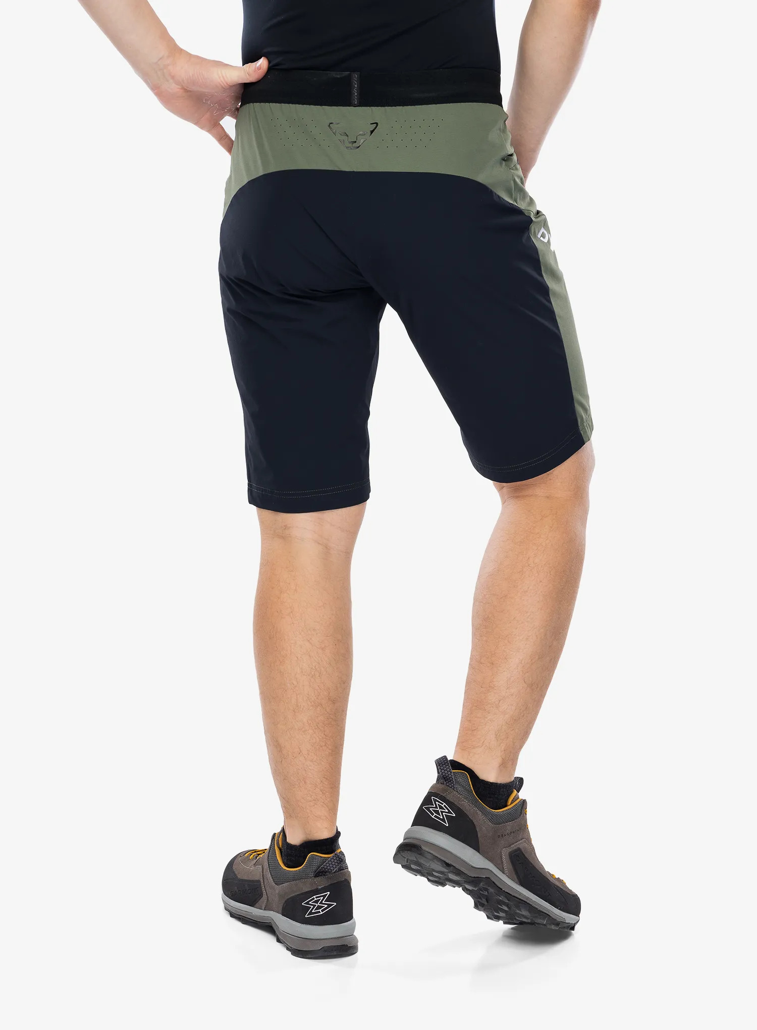 Turistické kraťasy Dynafit Traverse DST Shorts - thyme