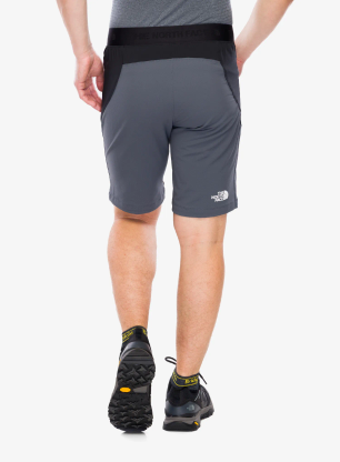 Turistické kraťasy The North Face Circadian Alpine Short - tnf black/asphalt grey