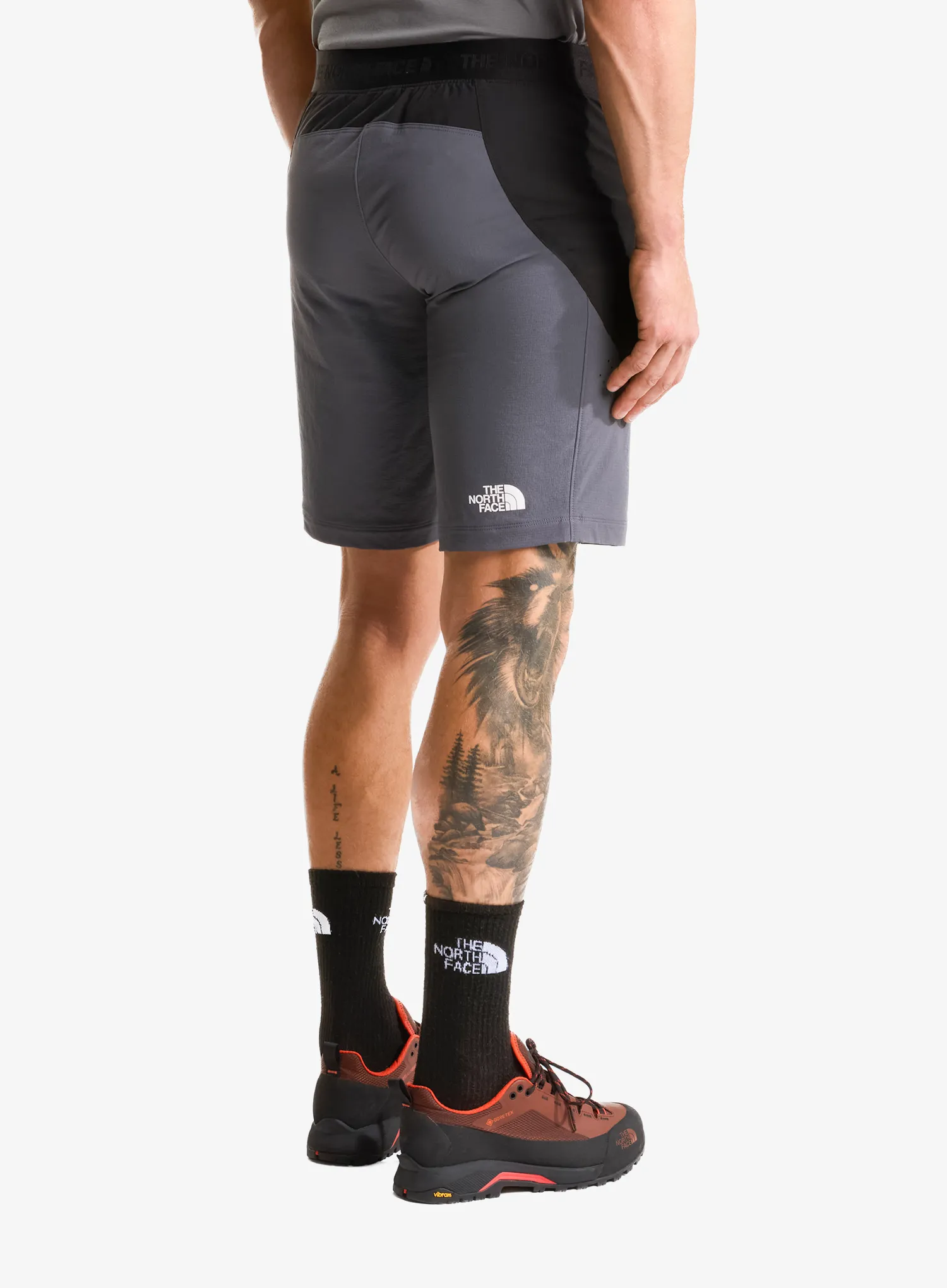Lezecké kraťasy The North Face Circadian Alpine Short - black/grey