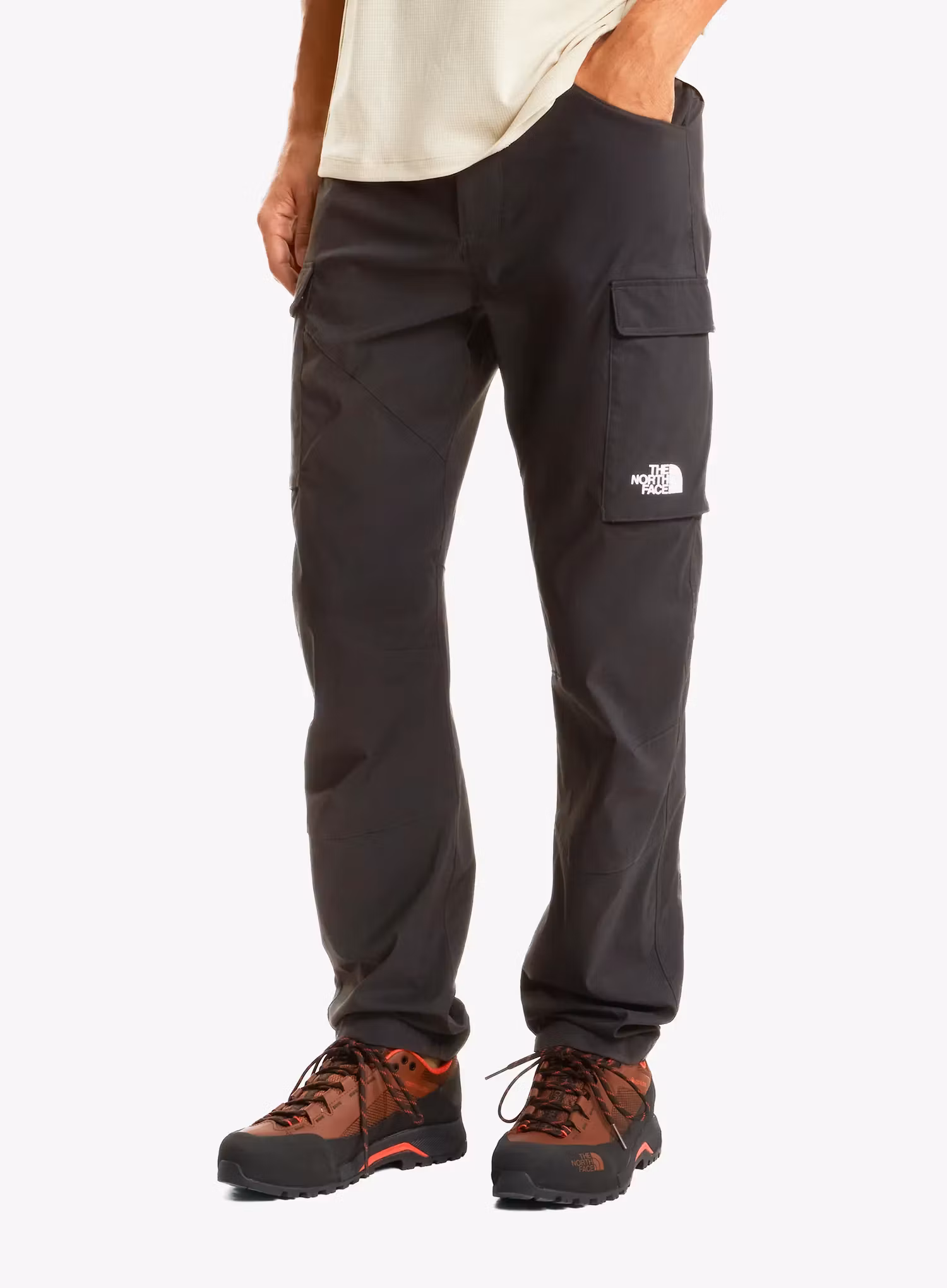 qweTheNorthFaceExplorationCargoPantstnfblack197804149742a.webp