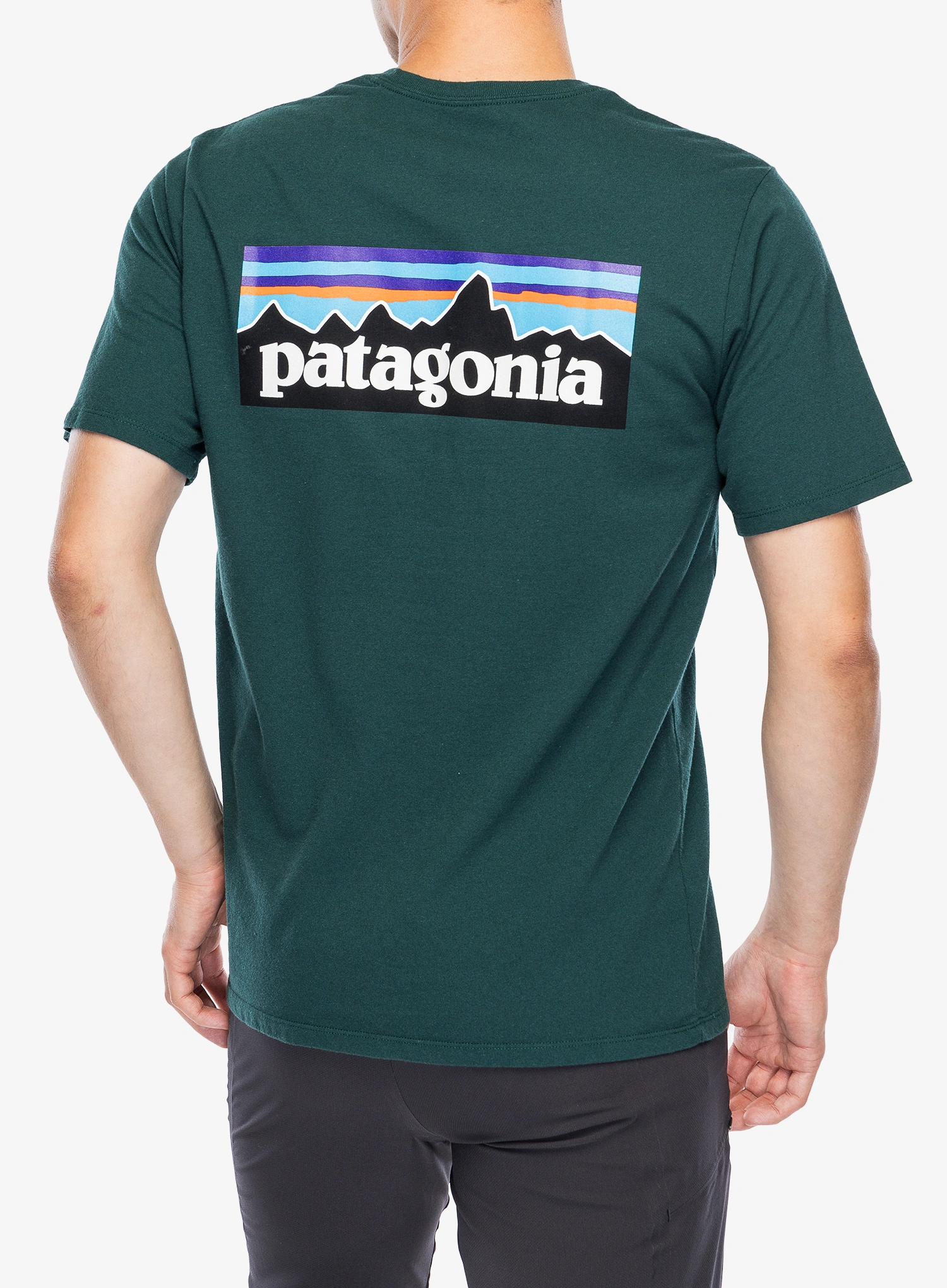 T shirt Patagonia P-6 Logo Responsibili-Tee - cascade green